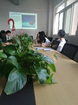 江蘇景寧信息技術 專業信息技術咨詢服務的領航者